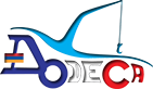 Dodeca